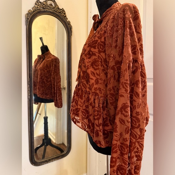 Anthropologie Red Velvet Tie Front Blouse with Relaxed Sleeves - Picture 7 of 9
